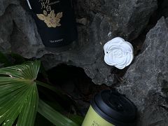 -萃茶师(琅西店)