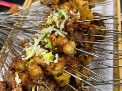 -海波肉串(振兴广场店)