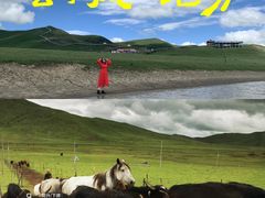 -黄河九曲第一湾