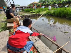 -同銮特种养殖场·龙虾垂钓