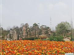 -秀丽东方
