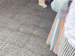-高记福桂桂花糖炒栗(鼓楼店)