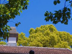 -上海佘山国家森林公园西佘山园