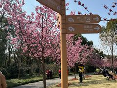 -自然谷恐龙园