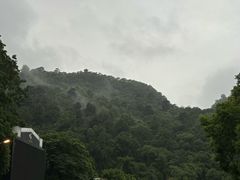 -黔灵山公园