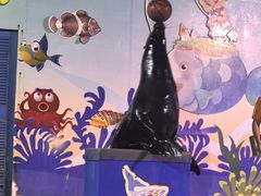 -太平洋海底世界