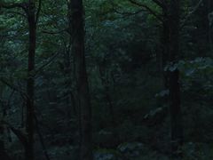 -峙山公园