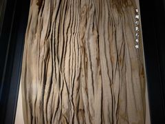-巴音郭楞蒙古自治州博物馆