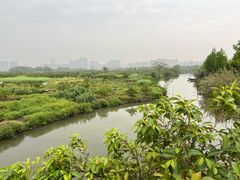 -三垟湿地