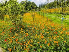 -长兴岛郊野公园农场食堂