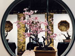 -石家庄市植物园