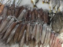 -海蓝海鲜馆(五四北店)