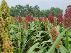 -临平南高铁站(地铁站)