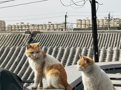 -前叁門