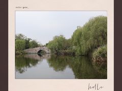 -杭州湾海上花田景区