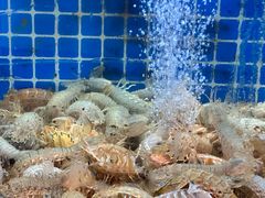 -碧海银沙海鲜餐厅(恒大海上威尼斯店)