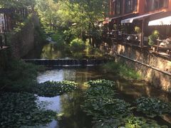 -Local泰莲庭(虹鳟鱼店)
