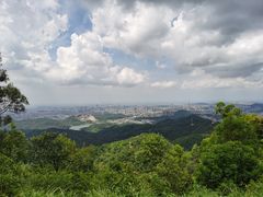 -大尖山公园