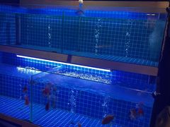 水产区-青空日料烧肉烧鸟店(后湖兴业路店)