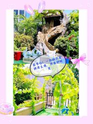 -可可天空农场(中大店)