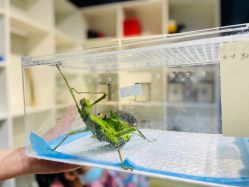 -酷嗒动物文化乐园(cutezoo西溪乐天城店)