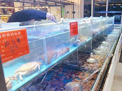 -四海蒸鲜蒸汽海鲜自助(北戴河店)