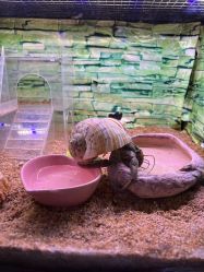 -Zoolung Zoolung动物主题公园(海信广场店)