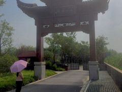 浦江之首-浦江之首