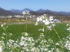-楠溪江风景名胜区