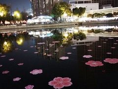 -西北湖绿化广场