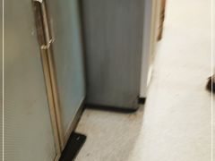 -老谢野馄饨(延安路店)