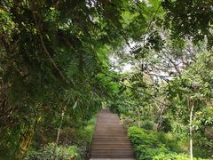 -大屏嶂森林公园