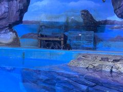-多彩贵州城极地海洋世界