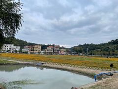 -红山村