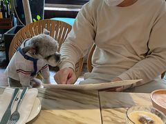 -the rug 飞毯 (朝阳公园店)