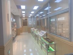 -帕帕拉兹宠物(亚洲旗舰店)