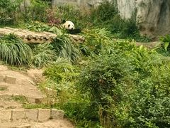 -石排湾郊野公园