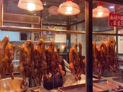 -日日香卤鹅饭店·澄海狮头鹅(澄海店)