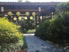 -杭州第一世界大酒店·云曼温泉