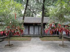 -子昂故里文化旅游区