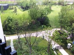 -上海崇明金茂凯悦酒店