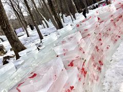 -洛阳白云山景区