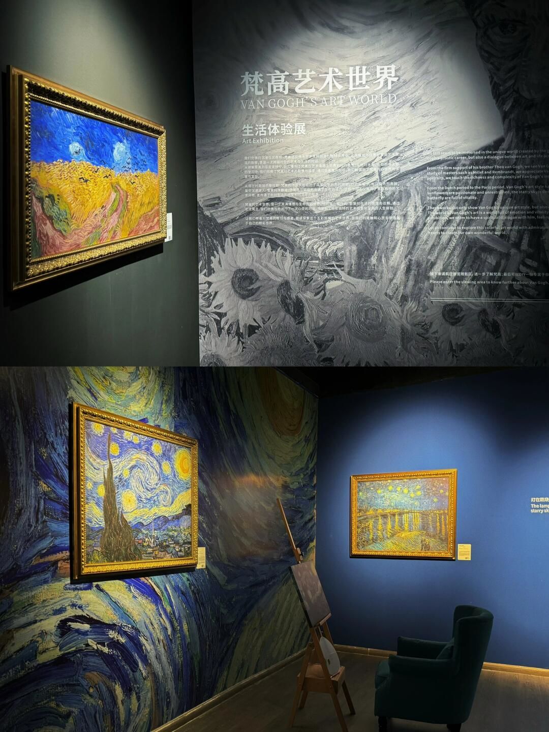 🌟 今天终于去看了梵高画展,太美妙了