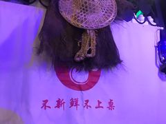 -问渔烤鱼(回龙观总店)