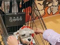 -MARSMART PETS火星宠物超市(1733店)