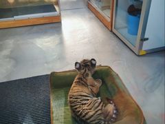 -大连森林动物园