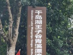 -千岛湖王子谷漂流