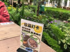 -缘生态云南菜·野生菌庭院餐厅(华侨城店)