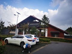 -南湖湿地公园