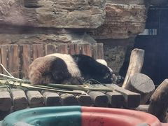 -石家庄市动物园